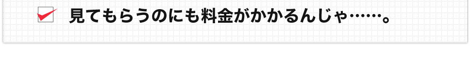 見てもらうのにも料金がかかるんじゃ……。